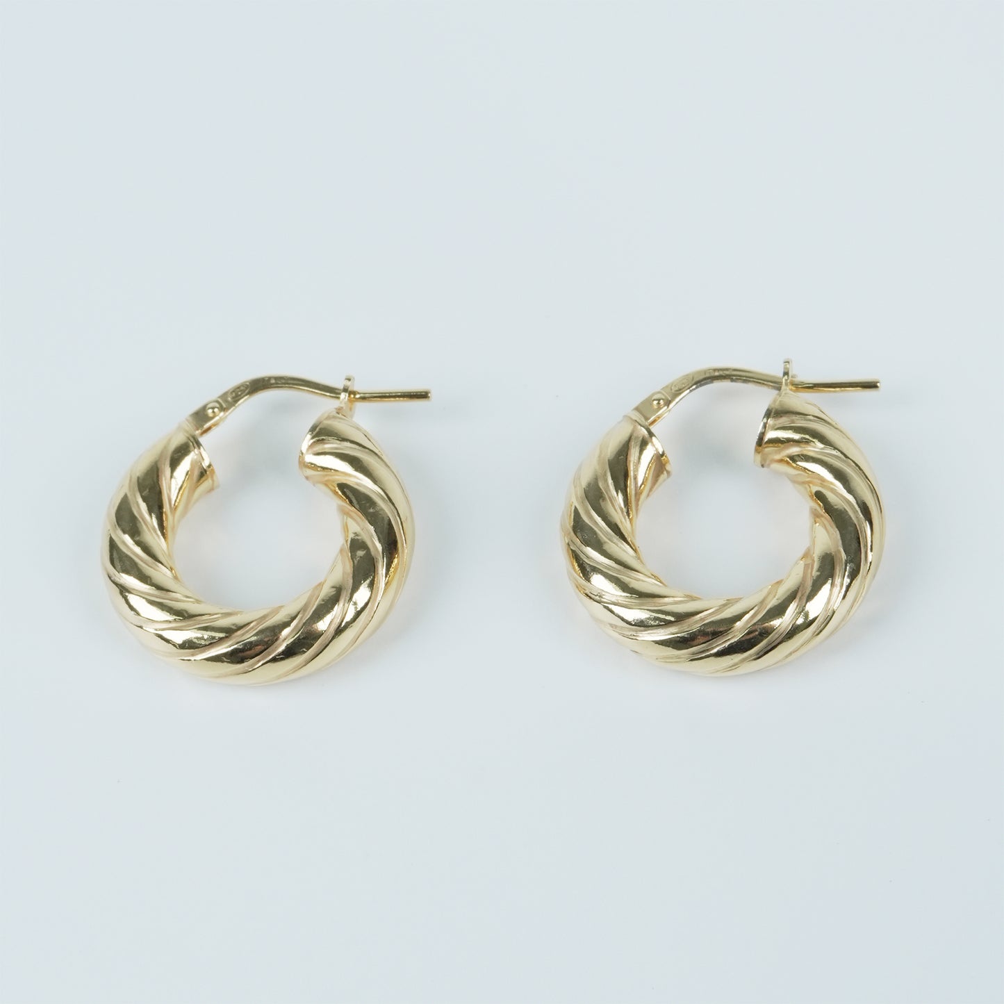Fortuna Hoop Earrings