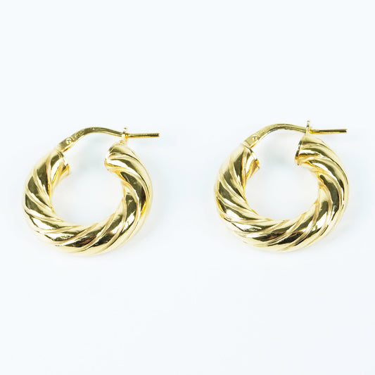 Fortuna Hoop Earrings